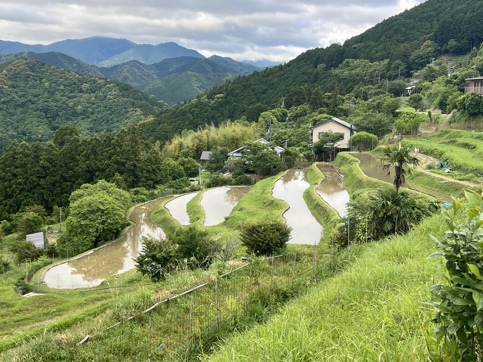 Kumano Kodo walking meditation — original photograph 2